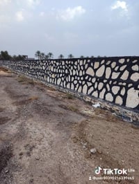 07818056199/07771245003