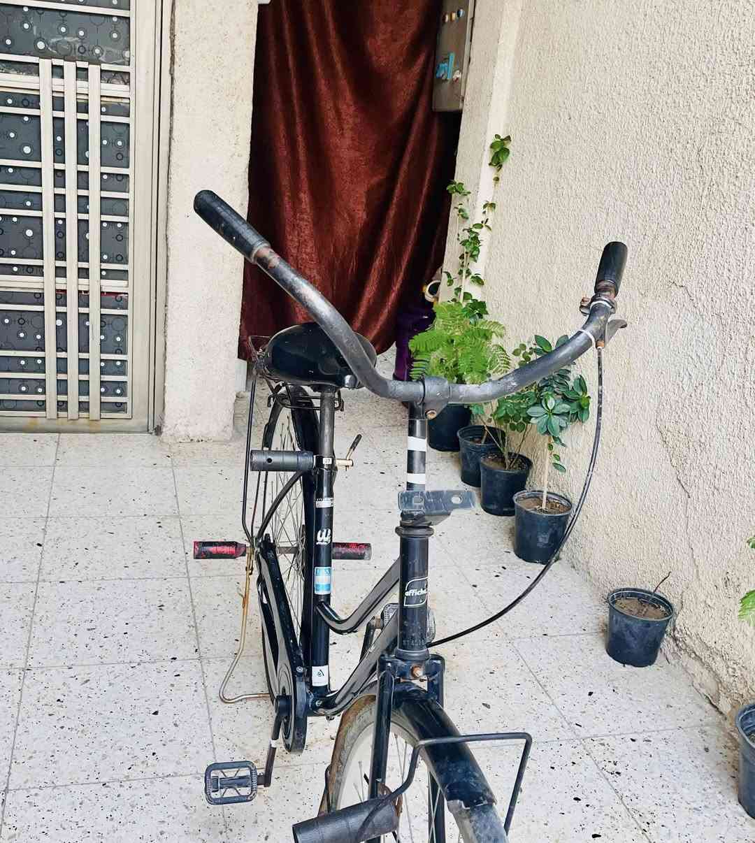 بايسكل بناتي مرتب جديد ما مستخدم هواي
حجمة :27
موديل :2019
بايسكل :ياباني 
بايسكل :اصلي مختم مو تجاري اصلي 
علوان : بغداد الشهداء العبيدي 
تواصل :علة وتساب فقط 
الرقم : ***********
