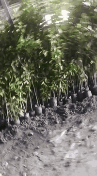 متوفر لارنج كل الاحجام والسعر مناسبها المكان بغداد الدوره منطقه 075091...