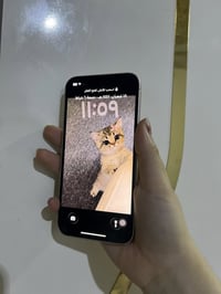 آيفون ١٣ • ذاكرة 265 • بطارية 96