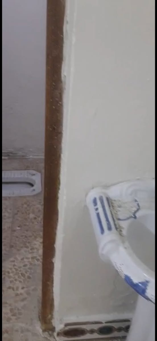 للايجــار بيت البصرة القديمه موقع ممتاز
غرفتين صاله مطبخ صحيات كراج حديقه
اجار500 📞 *********** 📞
