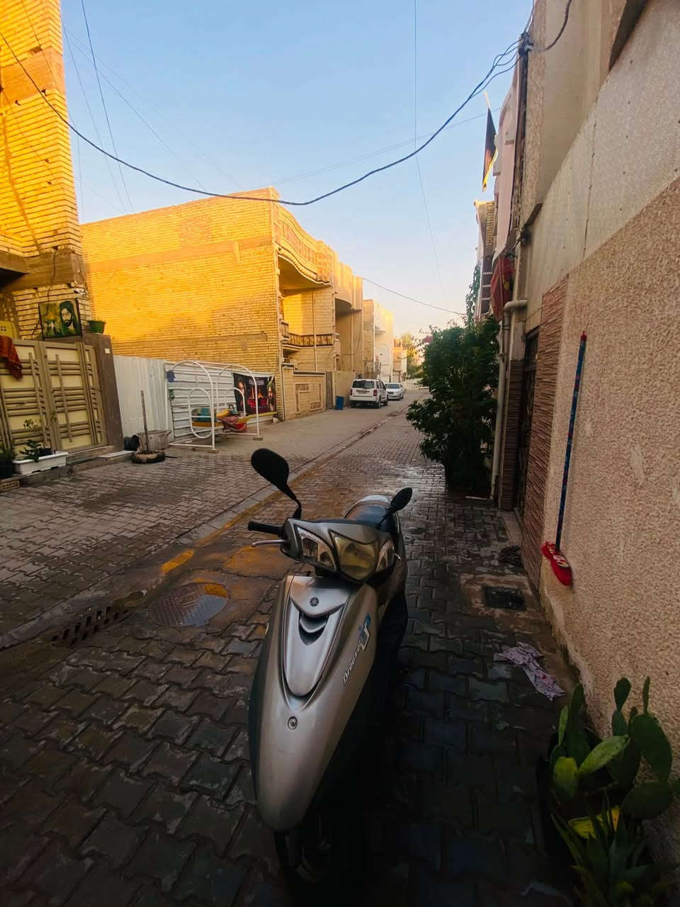 سلام عليكم 
دراجة للبيع 
ببغاء  رمبة 
سعر مليون وبيها مجال 
المكان بغداد 
للاستفسار على هذا الرقم 
***********
