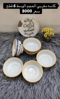 فرفوري مغربي • درجة اولى • بابل الهاشمية