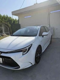 كورلا 2025 ها يبرد مكفوله ماشيه 25 الف شكل الامريكي السعر 146 ورقه مكا...