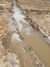 ارض زراعية • دونمين • ٢٠٠نخلة