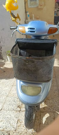 منغولي • كامله • دبلات