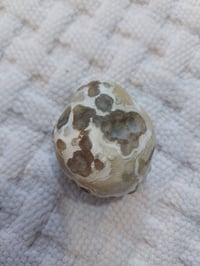 حجر داودي عطف السعر 50 الف عنوان بغداد كرادة  07755267077