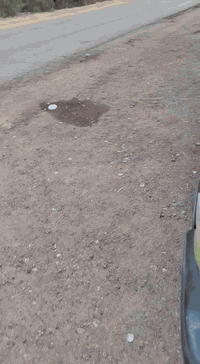 كيه بسته موديل 95باسمي سنويه صاقطه بشهر ثاني كير محرك مكفولات واكسن وشاصي المكان ابو غريب. هذا رقمي بيه واتساب ***********
