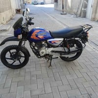 بوكسر • فحل • موديل ٢١