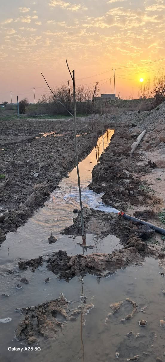 ارض  للبيع زراعي وسكن اميري ٢ دونم بيها رنبه مال بيت وبيها بير ماء وموطور ٣ انج وبواري مرشه ومسيجه كامل قريبه من معمل العلف علسده مباشر السعر ٢٧ وبيها مجال   (***********)
