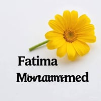 كربلاء الابراهيميه • نص دونم • منطقه سكنيه