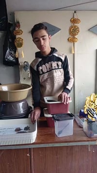 تشكيلة • حي المامون • معرض الملكه