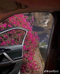 بيت 150متر الحريه الثانيه طابو صرف (مكلف بل نشر) صاحب البيت والتفاصيل ...