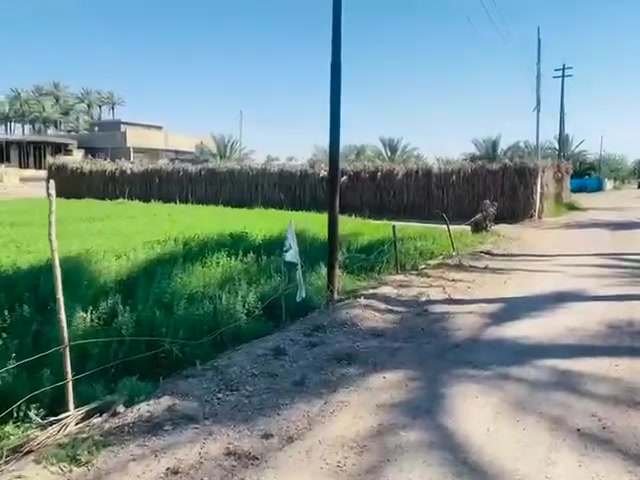 ارض البيع الصقلاوية المصالحة 1500متر ماء كهرباء الستفسار الاتصال على رقم ‏‪***********‬‏
