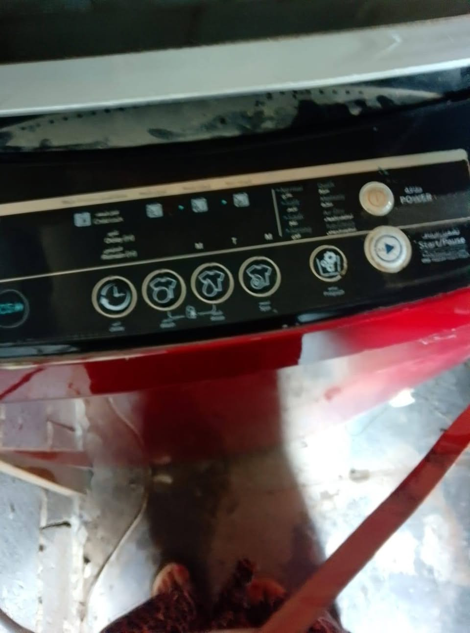 غسالة الحافظ ١٥ كيلو فول اوتو بيه كير بوكس عاطل شغاله ع الفحص قيم واخذ..الحريه.بغداد


**إذا كنت صاحب هذا الإعلان وتريد حذفه لأي سبب، رجاءا أرسل رسالة إلى الدعم الفني**