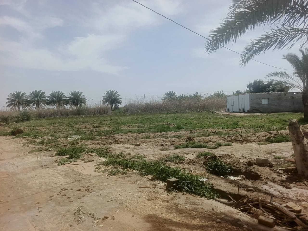 الدار للبيع مساحه 200 متر مع أرض زراعيه دونم 400 متر قلعه سكر
خلف معمل زيوت 
للاستفسار الاتصال على رقم ***********
