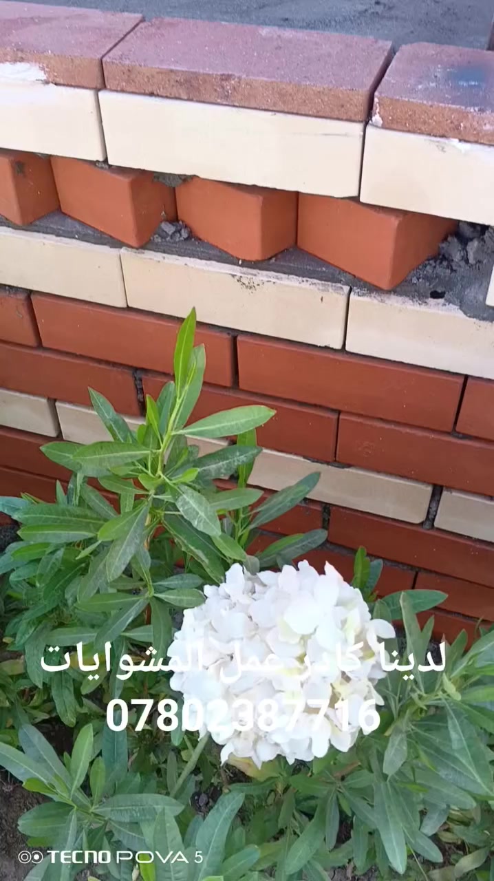 لدينا كادر عمل المشوايات ***********
