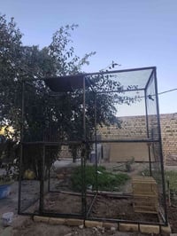 قفص حديد • طول ٢م • عرض ١م