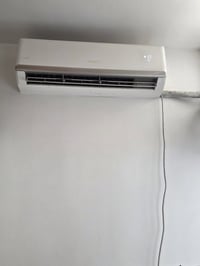 سبلت ١٫٥ طن • موسم واحد • الشعب