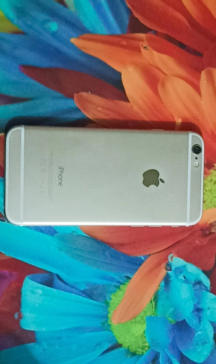 السلامُ عليكُم ورحمةُ اللّٰهِ وبركاتُه
إيـفون 6 (مُسـتعمل )
مسـاحته 64 غيـغابايت 
قُـدرة البـطارية 88%.  
يـجي ويا شاحن ( غير أصـلي) 
السـعر 70 (بـي مجال)
العنوان بـغداد الشرطة الخامسة


**إذا كنت صاحب هذا الإعلان وتريد حذفه لأي سبب، رجاءا أرسل رسالة إلى الدعم الفني**