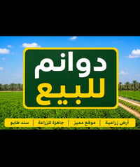واسط • ٥٠٠ دونم • نهر دائم