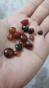 يمانيات • قديمات • شلع