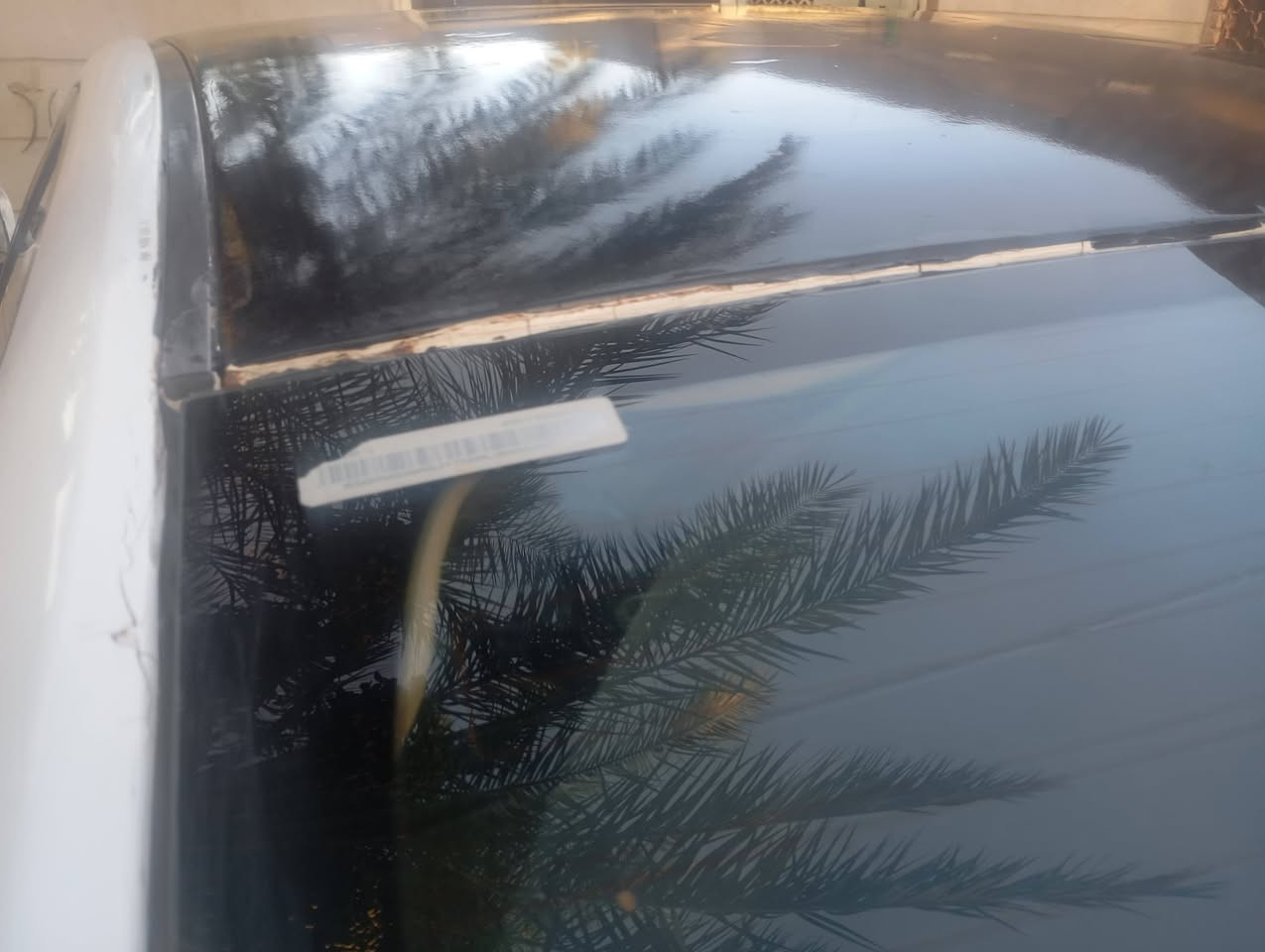 سوناتا 11خليجي اربيل بأسم شركه شهر 4صاعده هزه   مكينه2400 صبغ عام بدون دواخل اكفلك كص ووشواصي  سياره جاهزه  مكانه نجف ...
رقم الهاتف  ***********
السعر 85.مجال بسيط وضربته مثل ما وضخ بل صور. ؟ ترهم مراوس
