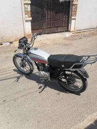 بدون أوراق • نضيفه • بهرز
