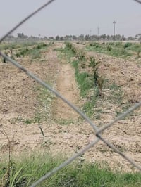 أرض زراعية • ٢ دونم • سند 25