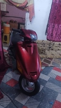 دراجة فراشة • القرنة • بوهرسعد