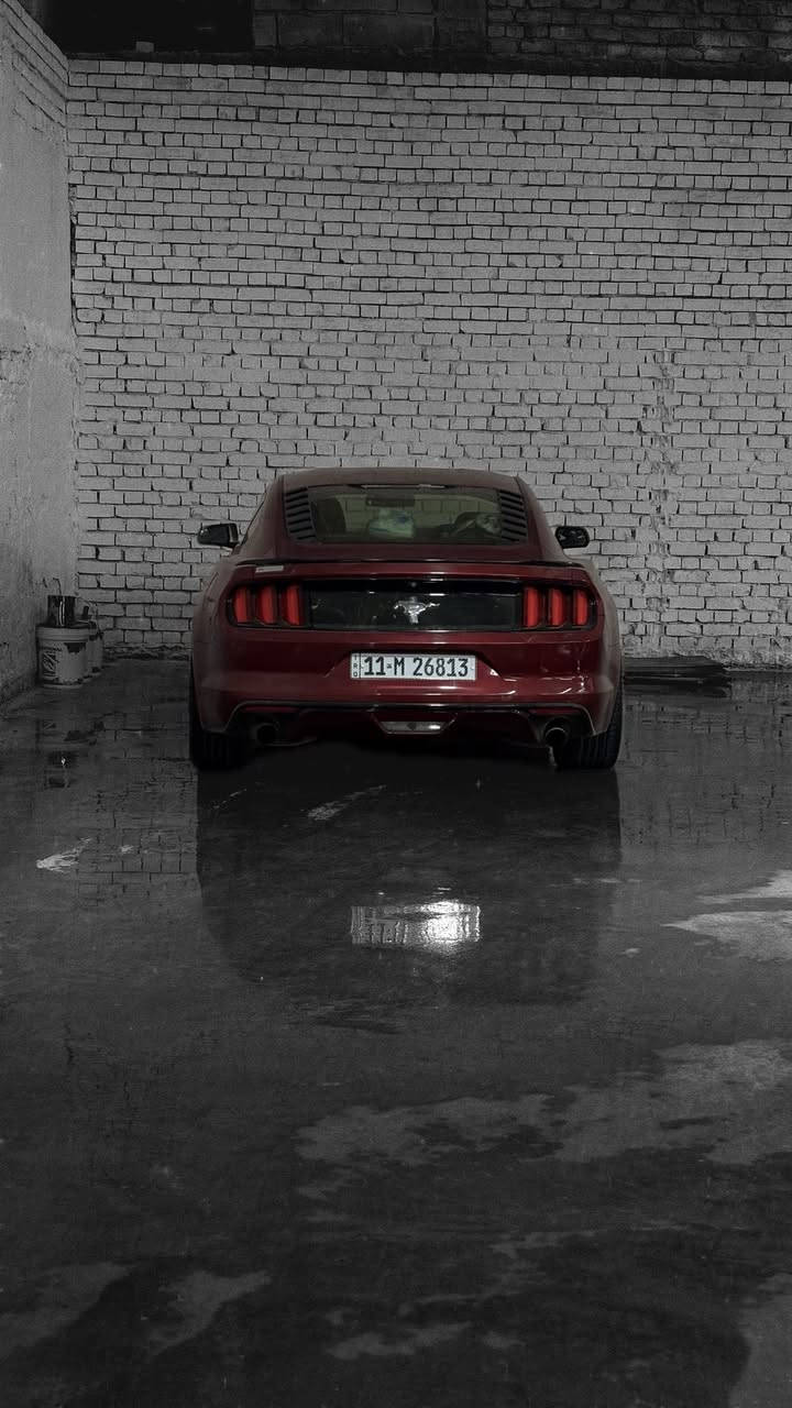السلام عليكم
موستنك v6 2015

حادثها باب السايق مع الجاملغ الخلفي 

بجم كبس مكينة كير شواصي لغود مكفولات 

اضافات 

شوتة bbk

هدرز bbk

داون بايب 

X بايب 

برمجة بوب كورن 

بنيد فايبر الياف 

دواخل كاربون فايبر 

ممشى ٤٤ الف ميل 

سعر ١٣٧ و بيها مجال بسيط 

*********** واتساب
