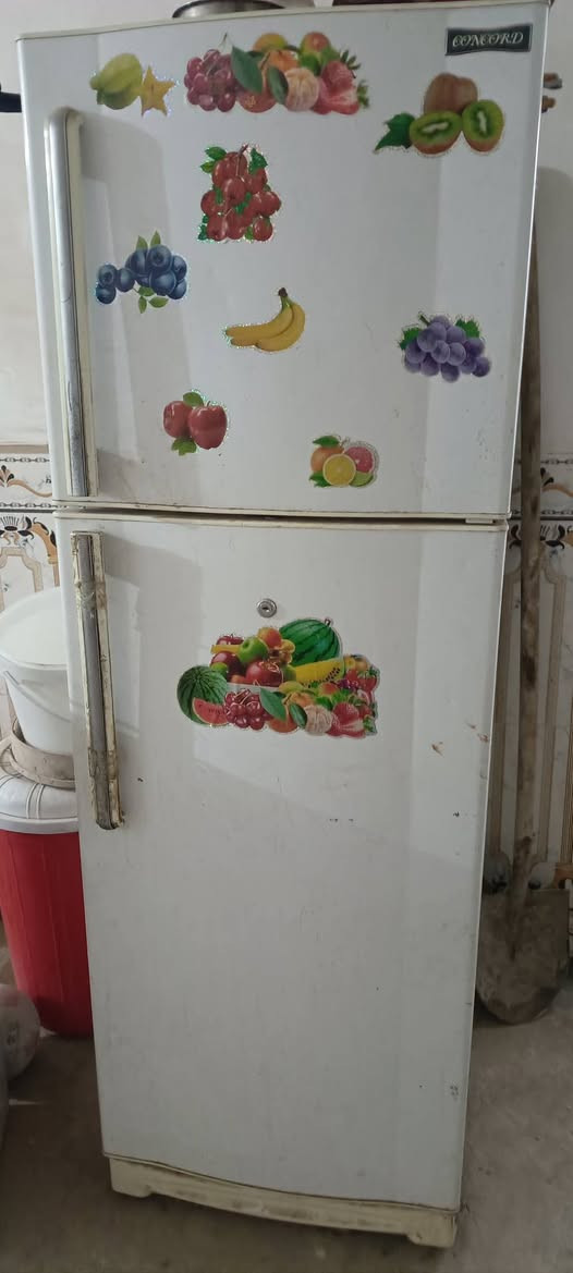 غراض للبيع شبكه الانترنت كامله غراض بدون راوتر وثلاجة كامله شغاله بس تجميد قليل وبارد ماي الشراي يراسلني خاص موجود وبلاخدمه كربلاء, العراق


**إذا كنت صاحب هذا الإعلان وتريد حذفه لأي سبب، رجاءا أرسل رسالة إلى الدعم الفني**