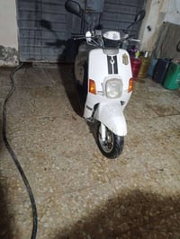 ماكس بوليس • مراوس • كير بوكسر