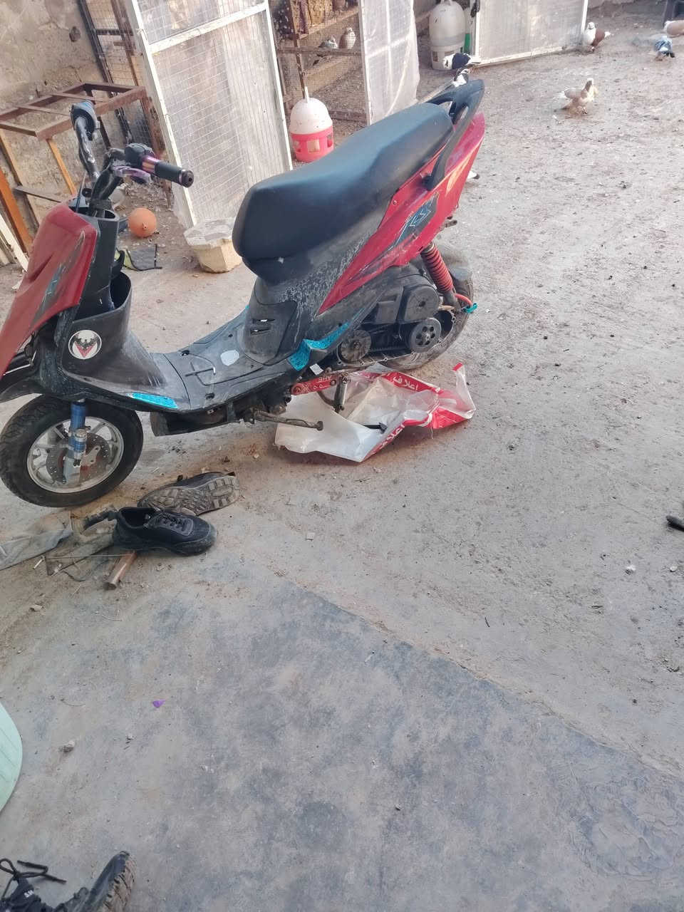 ماكس عدله مال لعب بوشه55 دراجه رايده 250 مكاني بغداد الشعله ***********
