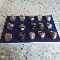 محابس فضه ايراني الواحد 10 الاف 07705160759