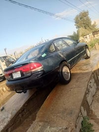 فاصوليا • كله جديد • بعقوبه