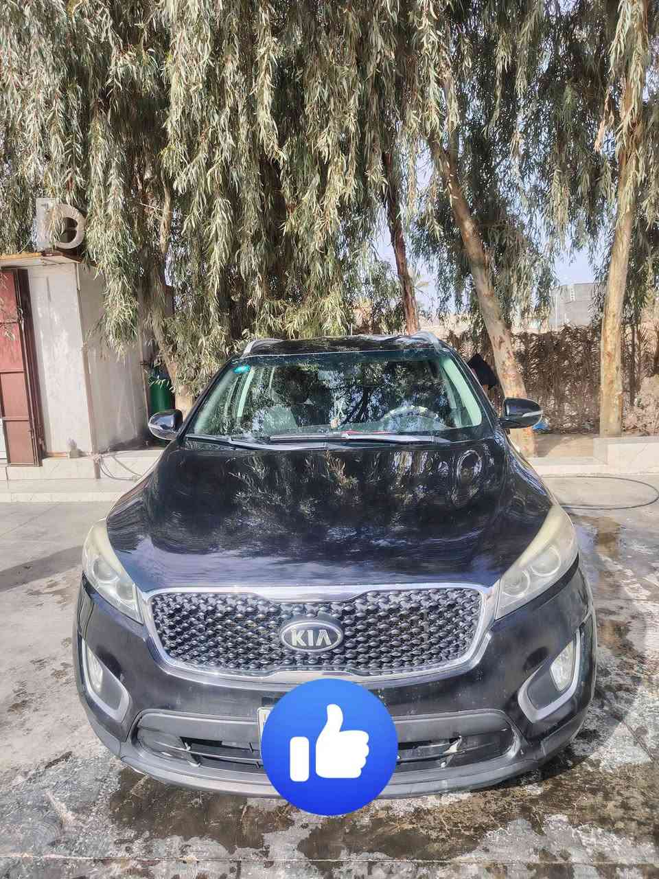 سلام عليكم سياره سورنتو ٢٠١٦ البيع رقم السياره الأنبار رقم الموبايل ***********
