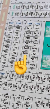 شارع عشره • ١٢٥م • طابو صرف