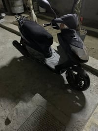 سكنس فحل • سلف متقطع • بغداد