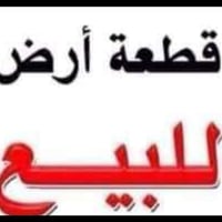 الكرغوالية • ١٨٠م • مياه كهرباء