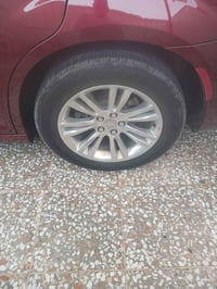 عندي ويل كب تخم اصلي اريد ويل كب عنكبوت اسود مراوس ٠٧٧١٥٠٩٧٩٤٥