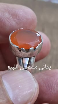 محبس يماني • مشمشي