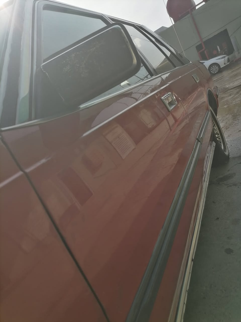 للبيع سوبر 84 بيها كابون رقم نينوى دولي سنويه وهزه جديده شرط التحويل محرك 5m لا صرف لا نفخ كير عادي
سنتر لوك اربع بواب صبغ حزام جماليه بلا دواخل
السعر 48 بيها مجال
*********** مكان الموصل الايسر
***********
