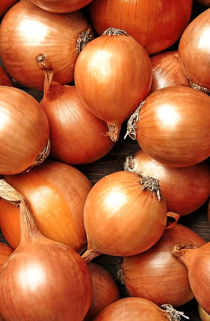 🌞 بهذا الحر... ليش تتعب نفسك؟

خلّ مسوكجي النجف ينجز مشاويرك عنك!

🥒 خضار طازجة
🍎 فواكه مختارة
🚗 توصيل سريع إلى باب البيت

وفر وقتك، وابتعد عن زحمة الأسواق وحرّ الشمس.

📩 راسلنا بطلبك، وخلي الراحة علينا.***********

مسوكجي النجف... مشوارك علينا، وراحتك هدفنا. 💚