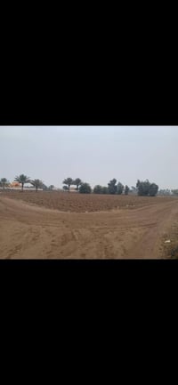 قرية المراسمة • ٢ دونم • زراعي