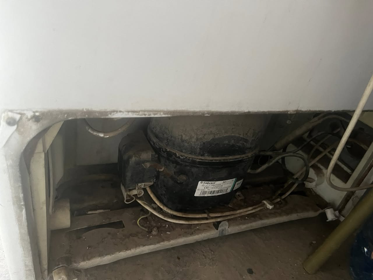 السلام عليكم عندي هاي المجمده بس مخلصه غاز  حجم كبير قيم بلي يرضى الله وخذ


**إذا كنت صاحب هذا الإعلان وتريد حذفه لأي سبب، رجاءا أرسل رسالة إلى الدعم الفني**