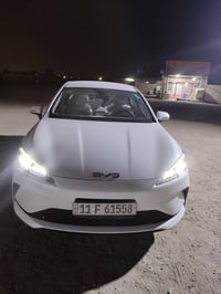 بي واي دي سيل 5 • ٢٠٢٥ • البصرة