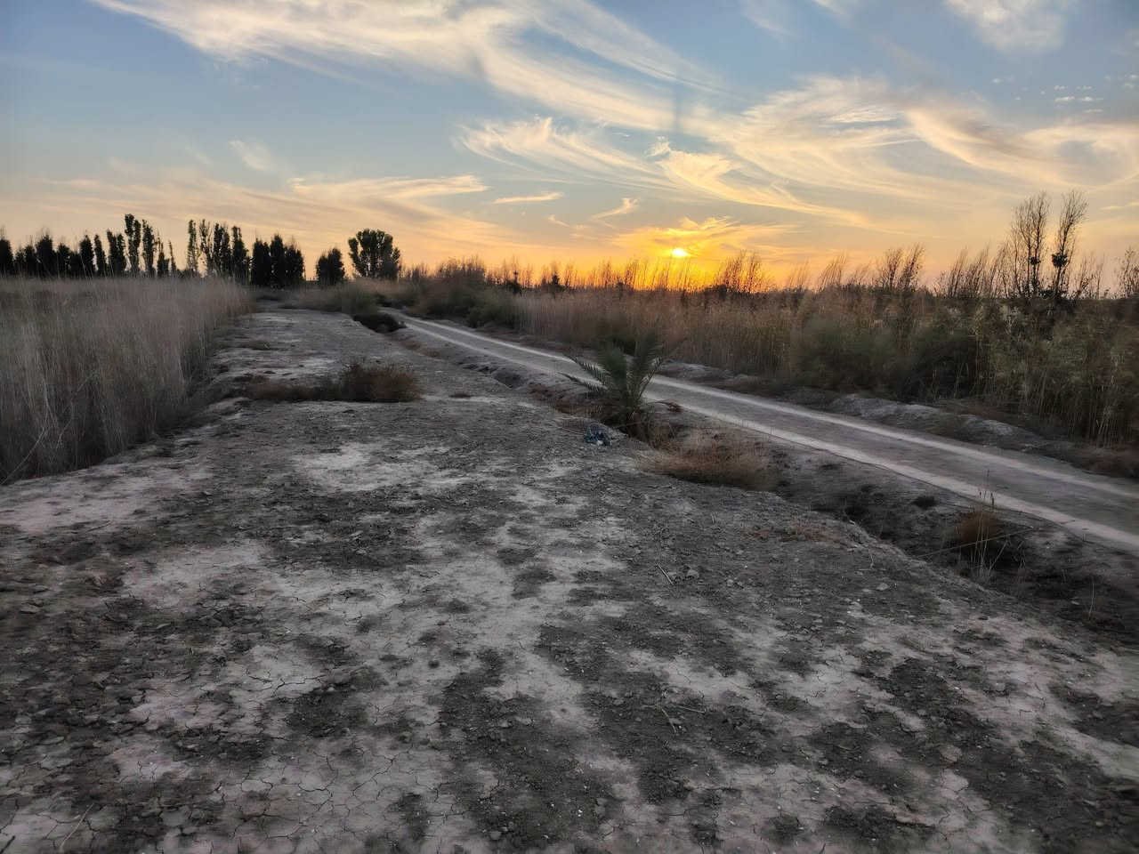 السلام عليكم احبتي
ارض زراعيه 6 دونم مسيجه بالكامل بي ار سي + كابرس 
يتوفر كهرباء ماي سقي من الشط ماي اساله الوفاء شوارع سبيس 
المكان بين السوك والفضليه نزلت النغيمشي وره سكه القطار تبعد عن الشارع العام 2 كيلو 
سعر الدونم 6 ملايين 
( رقم الهاتف  )
***********
***********
