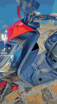 سكنس جبلي • كفاله عامه • نجف