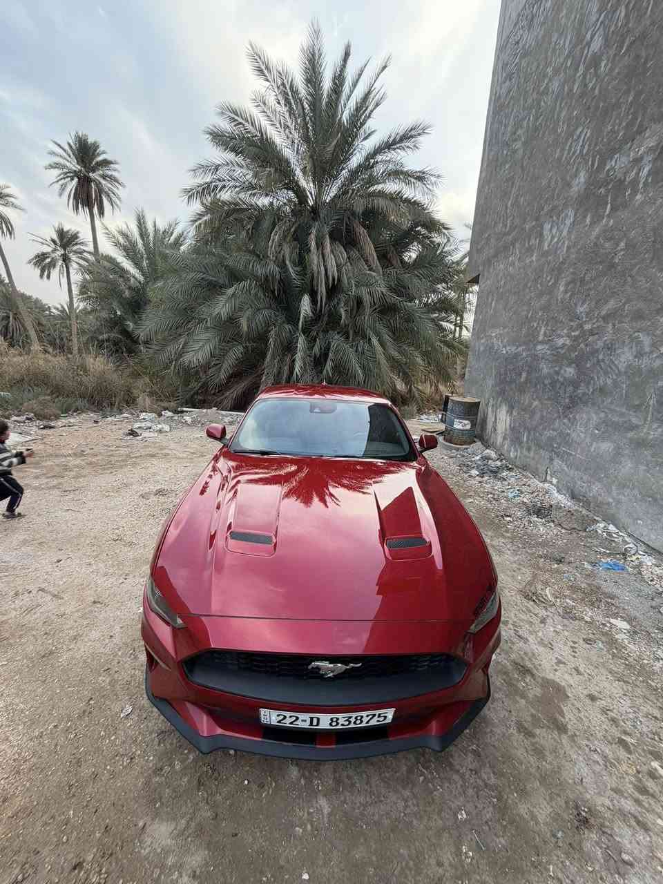 للبيع: فورد موستنك ايكو بوست 2021 🔥
سيارة شبابية فخمة ومميزة، لون أحمر يخطف النظر، شكل رياضي وهيبة بالطريق.

المواصفات:
- محرك EcoBoost اقتصادي وقوي بنفس الوقت
- موديل 2021
- الممشى: 88,000 كم
- وارد، نظيفة جداً من الداخل والخارج
- استخدام شخصي واهتمام عالي
- مو فول، لكن بيها أهم المواصفات العملية

الوضع:
- بيها قطعتين صبغ بدون دواخل (شغل نظيف)
- ما تحتاج أي مصروف
- مكفولة الفحص بأي مكان تختاره
- جاهزة للاستخدام فوراً

السيارة مناسبة للي يريد أداء + شكل + سعر مناسب 🔥

السعر: 175$
الموقع: كربلاء

للتواصل: *********** 📞
للجادين فقط
